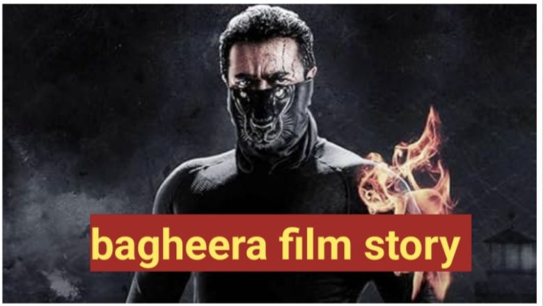 bagheera movie story